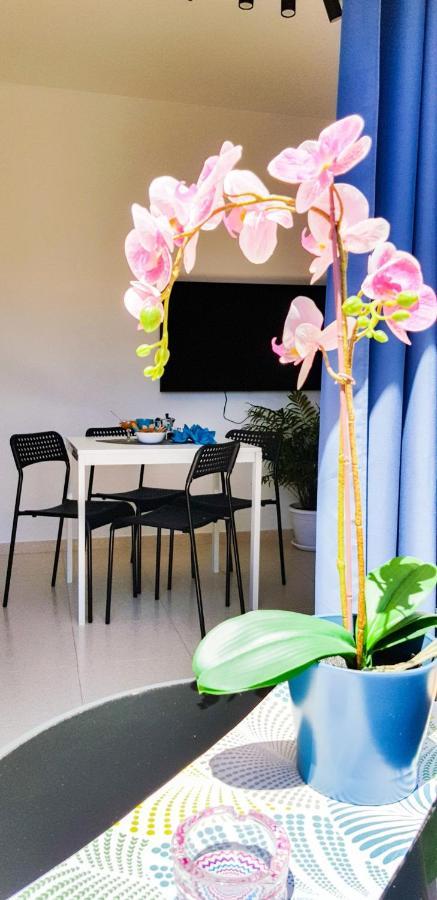 Ke Casetta Tenerife Salvador And Santiago Apartments Las Rosas  외부 사진