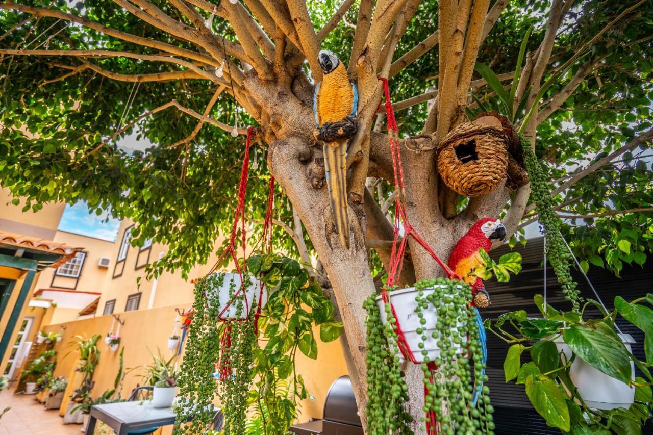 Ke Casetta Tenerife Salvador And Santiago Apartments Las Rosas  외부 사진